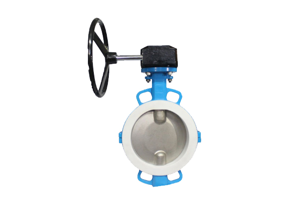 PTFE Butterfly Valves